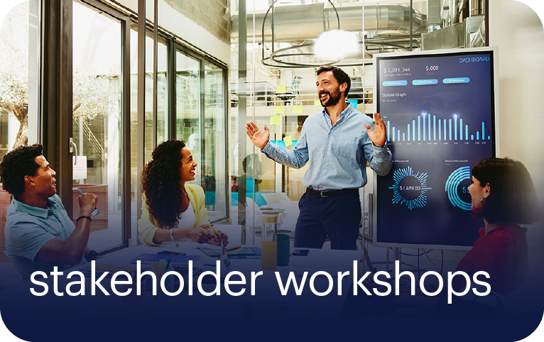 stakeholder workshops